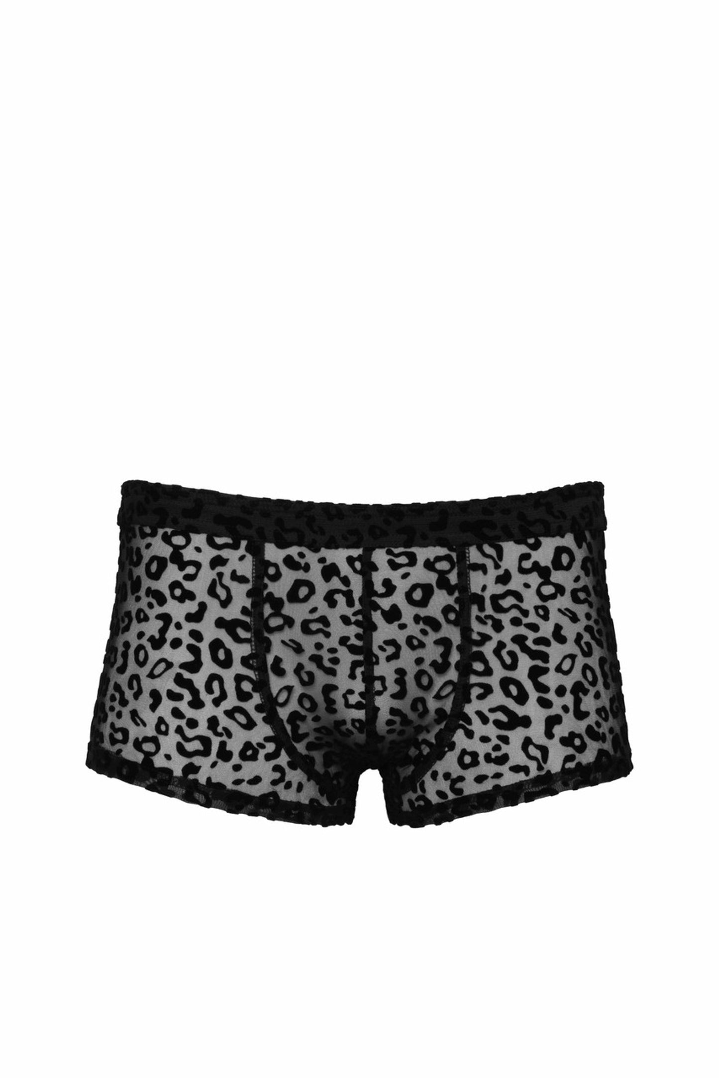 H072 LEO Shorts