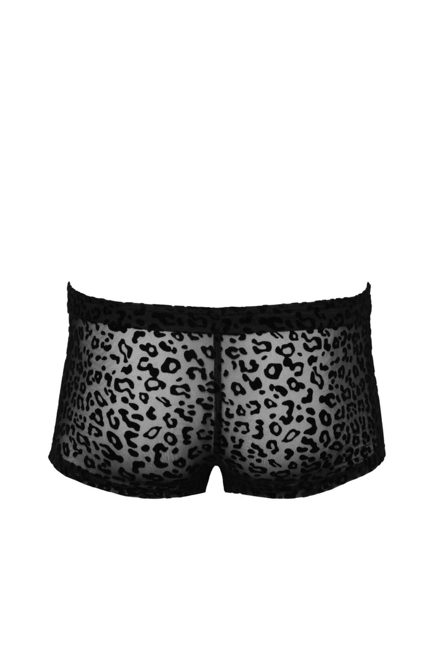 H072 LEO Shorts